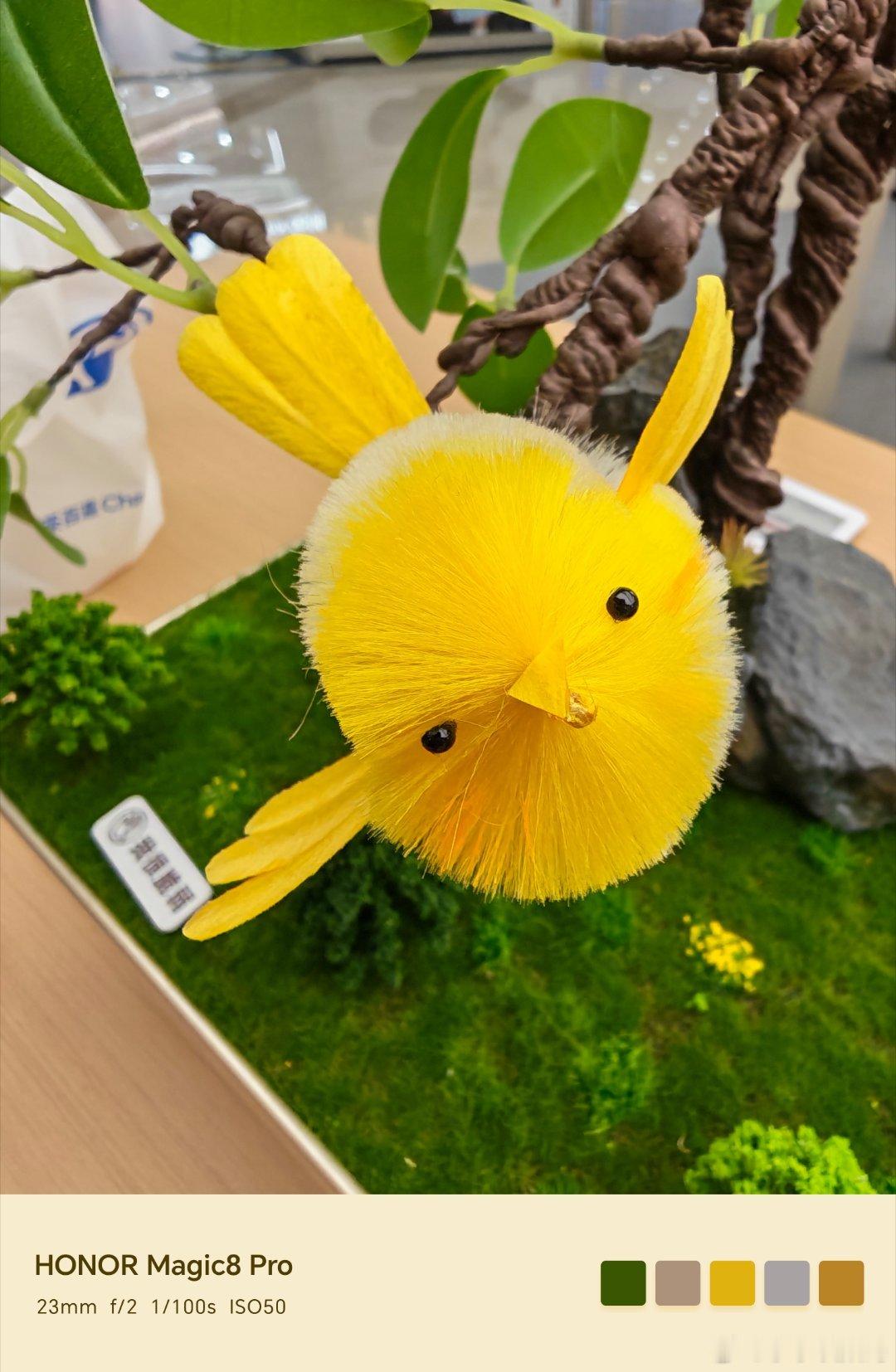 OPPOFindX9sPro和荣耀Magic8Pro影像大对比了~OPP