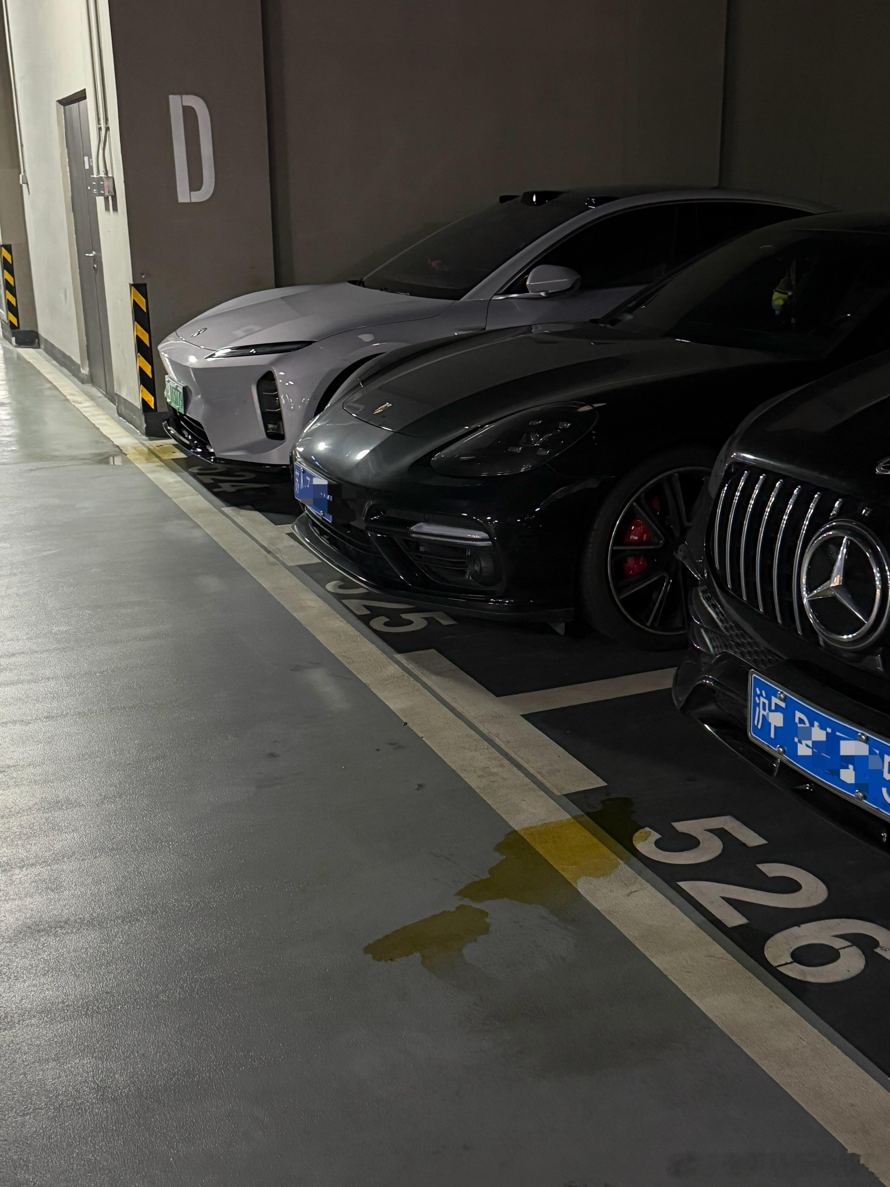 我真是服了！！！…本爱狗人士受不了了