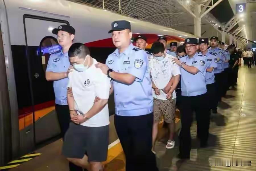 8月11日凌晨两点半，山东全省对77个黑恶团伙进行了围剿，抓获580名犯罪嫌疑人