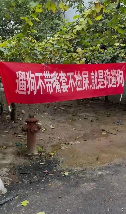 今天在小区门口看到的，看起来大家对于新规还是很支持的。确实遛狗不拴绳子就是在