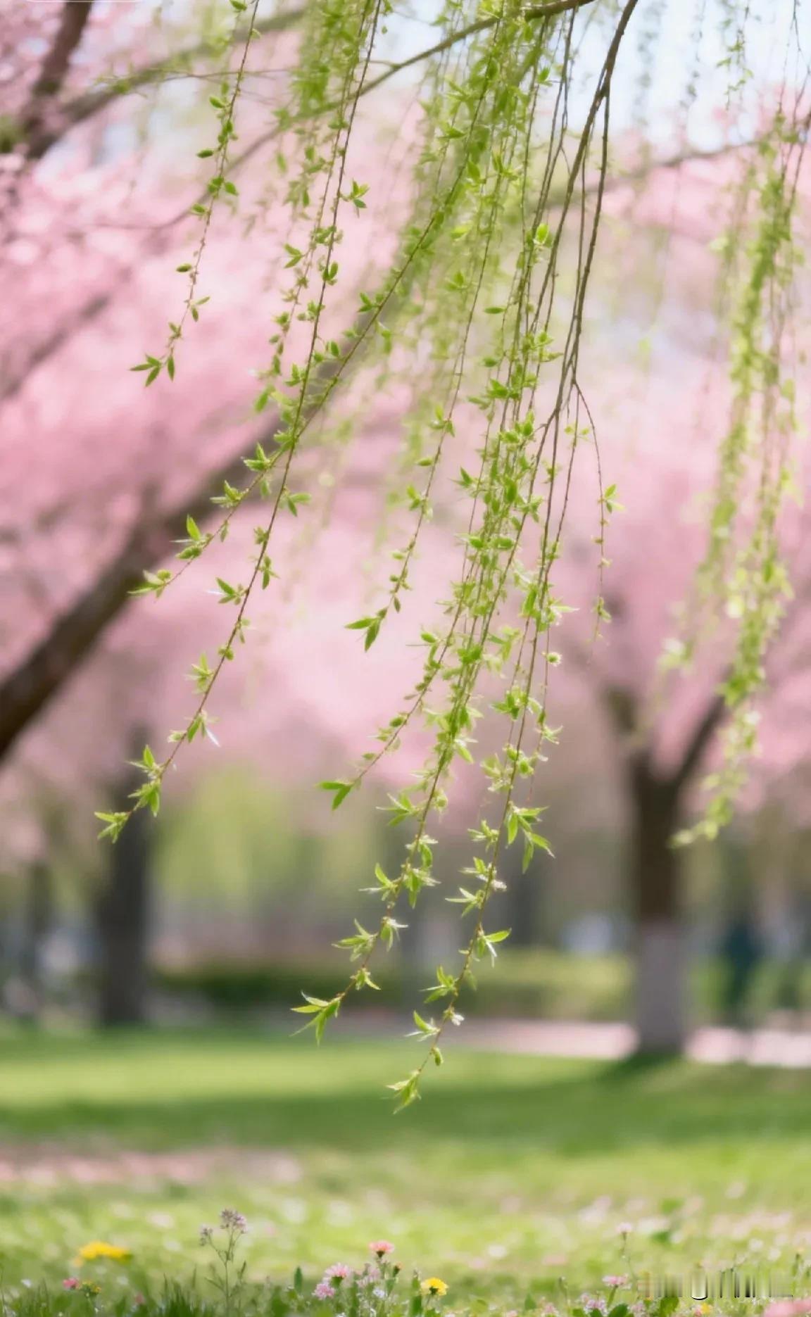 醍醐灌顶的一句话：“一个人20岁死掉，40岁死掉，60岁死掉，80岁死掉，其实
