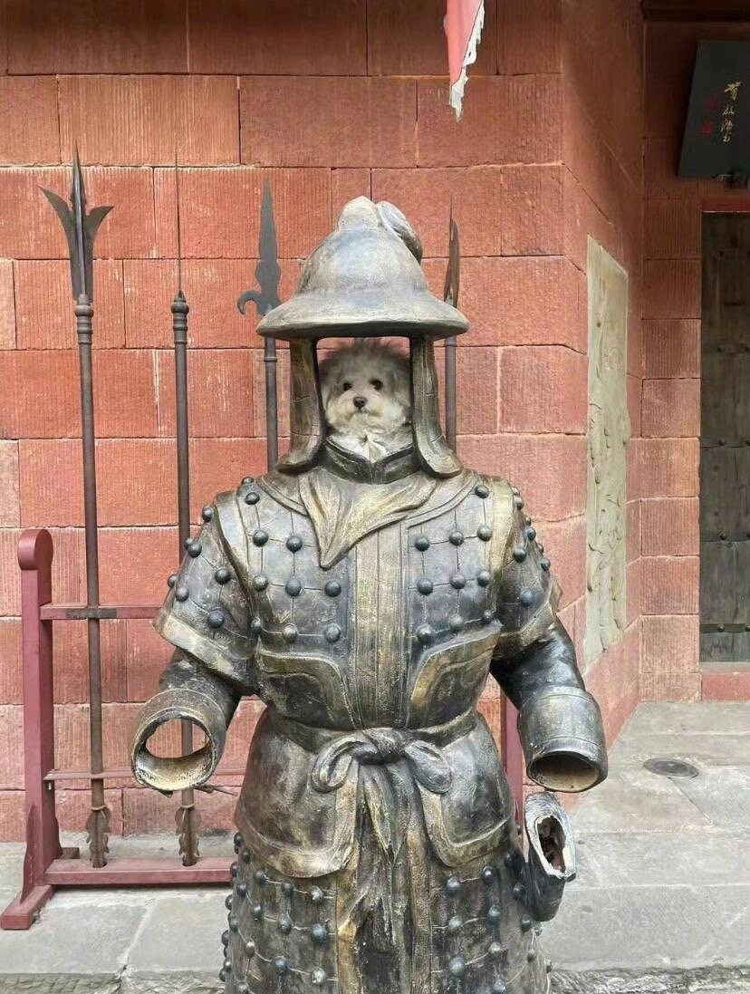 “拜见小狗将军，余华老师戎装登场”