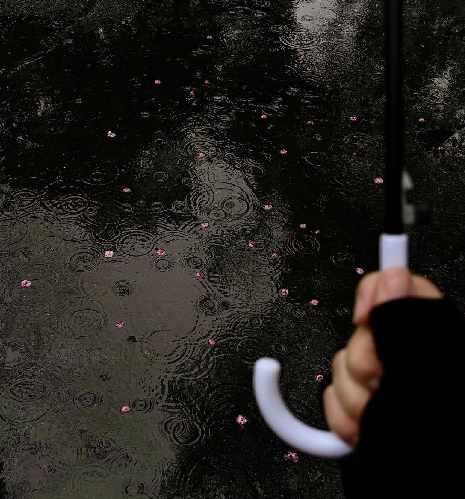 《被社会毒打99次，终于才明白的事情》1.男人99%都好色，女人99%都爱财