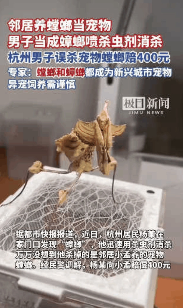杭州一男子发现家中有疑似蟑螂的虫子出现，于是他就拿来杀虫剂对着“蟑螂”喷了几下，