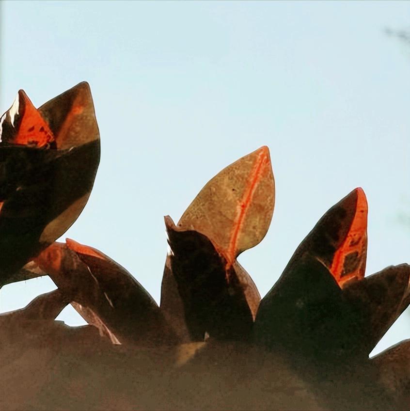 今天  新疆：执纪审查1人 12月17日18:00，新疆：执纪审查1人，为