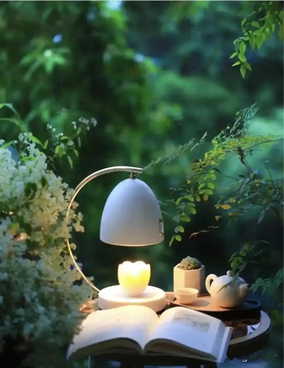 我妹41岁，副科。每天上班头件事，是烧水煮陈皮。下午四点，她在办公室掐自己种