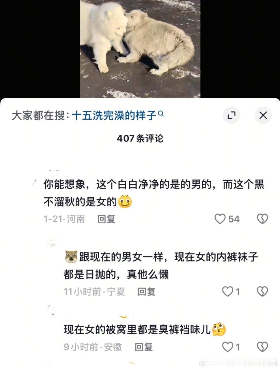 对狗有男女刻板印象的同时拉踩一下女的