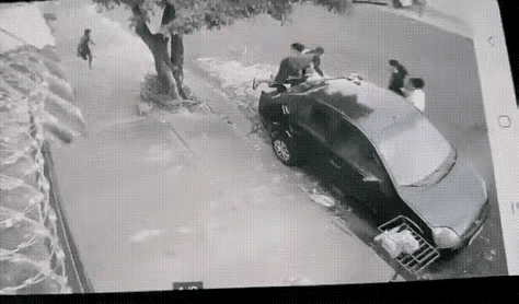 一条狗居然把这么多人吓得不知所措，场面非常混乱，不知道的，还以为这是一头狮子呢，