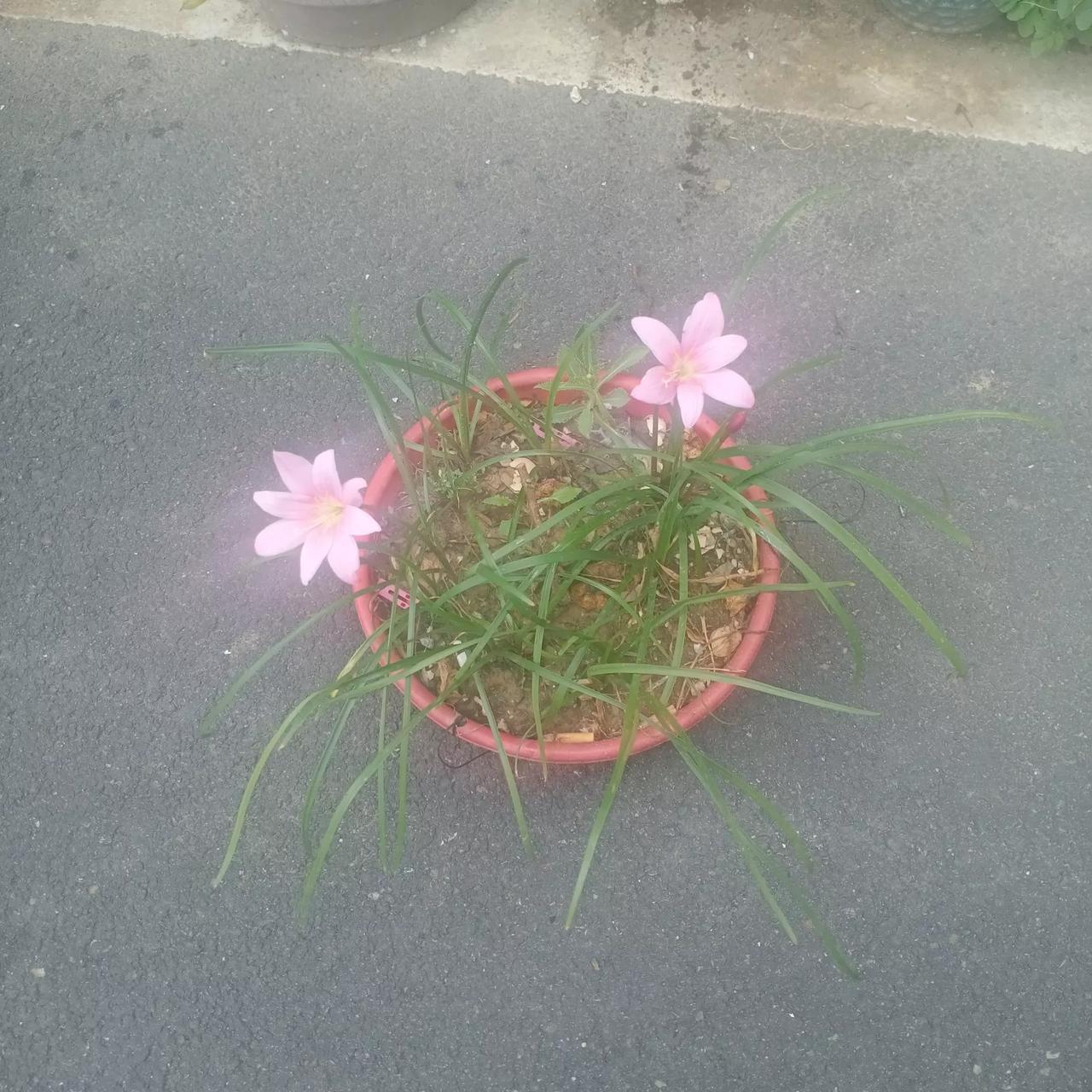 是的！这是欠揍的小人！对他们不要讲道理，更不要讲仁慈！//@郑重其事:有些人你对