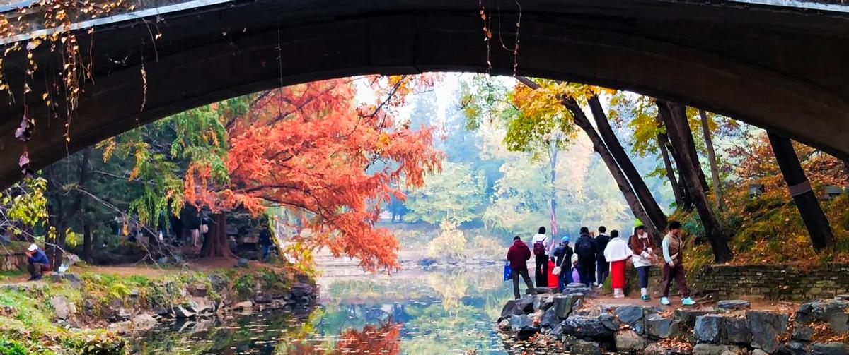 表姐住我隔壁，咱俩天天搭伙吃饭，谁也不管谁的作息。老了不靠娃，也不住养老院，自