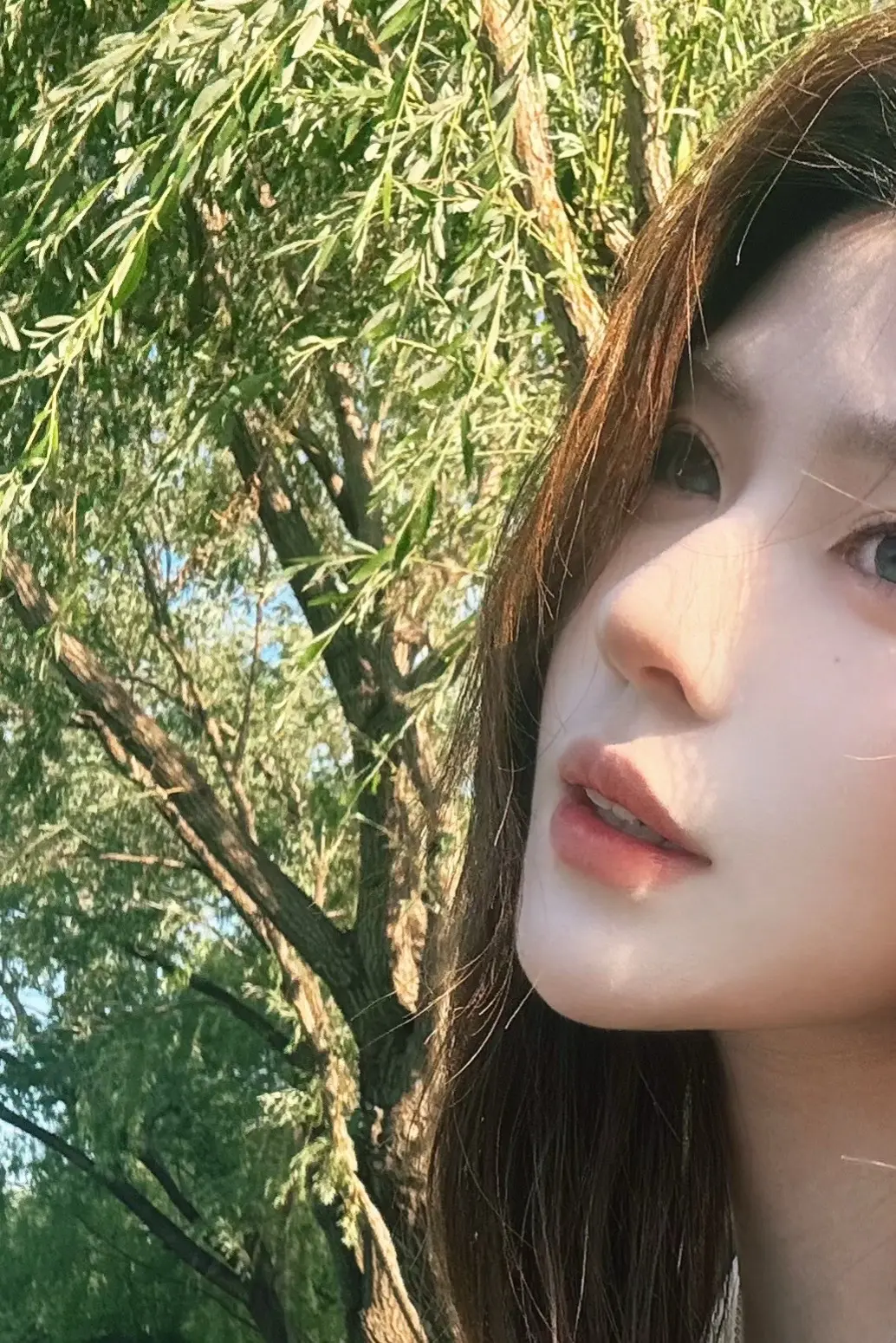 你眼睛 吞了我
