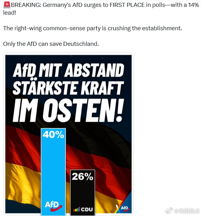 德国的“德国选择党”（AfD）在民调中处于第一名——领先14个百分点！这支右派常