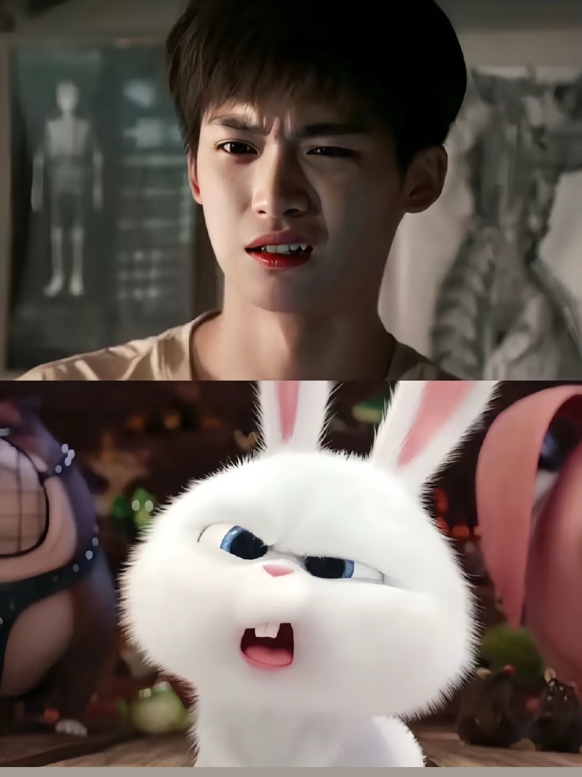梓渝×兔系宝宝🐇发现梓渝兔子塑的一定是天才​​​