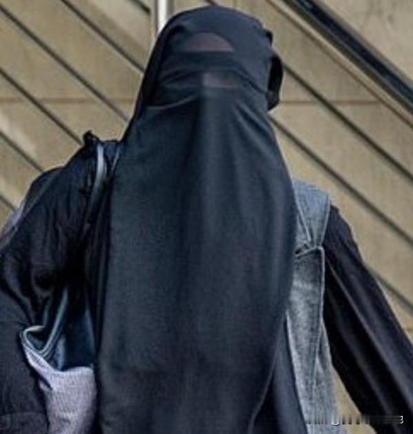 这是来自曼彻斯特的36岁的萨巴·马哈茂德，她以巴基斯坦亲属的名义，骗取了10万英