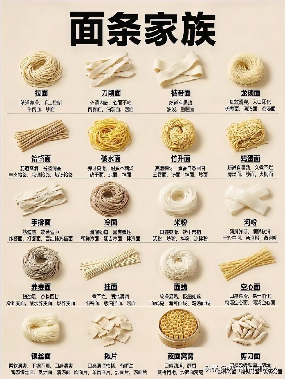 面条的种类