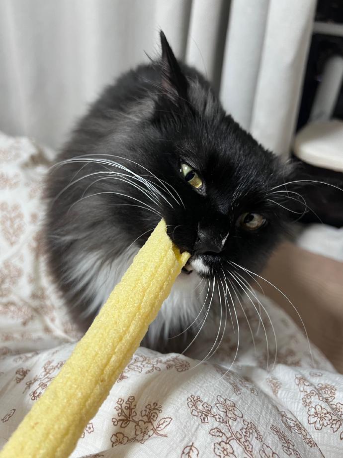长辈要把零食挂房梁的原因
