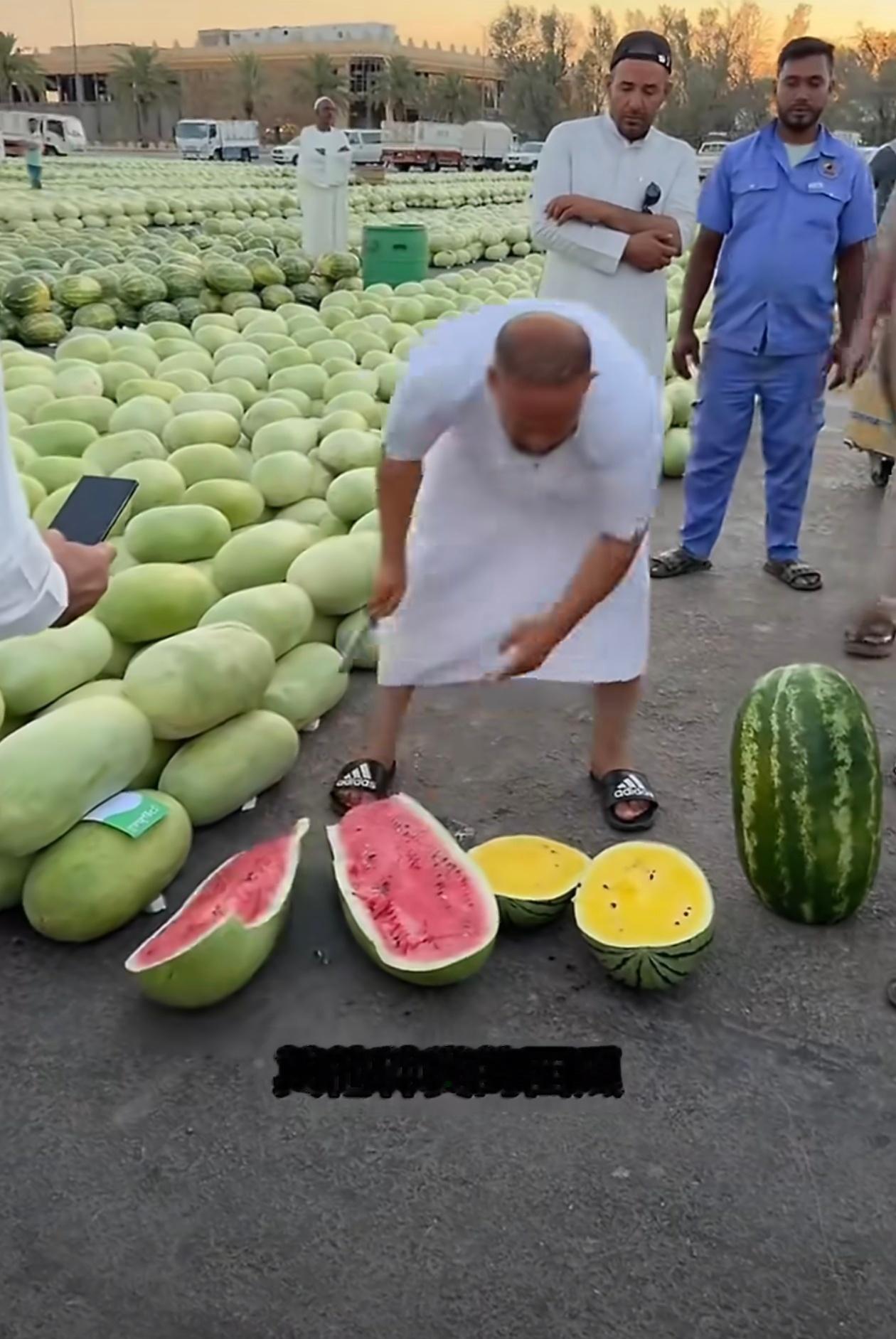沙特巨型西瓜为何国内少见这种西瓜🍉小时候见过山东、河北和东北都有种植瓜大沙瓤但
