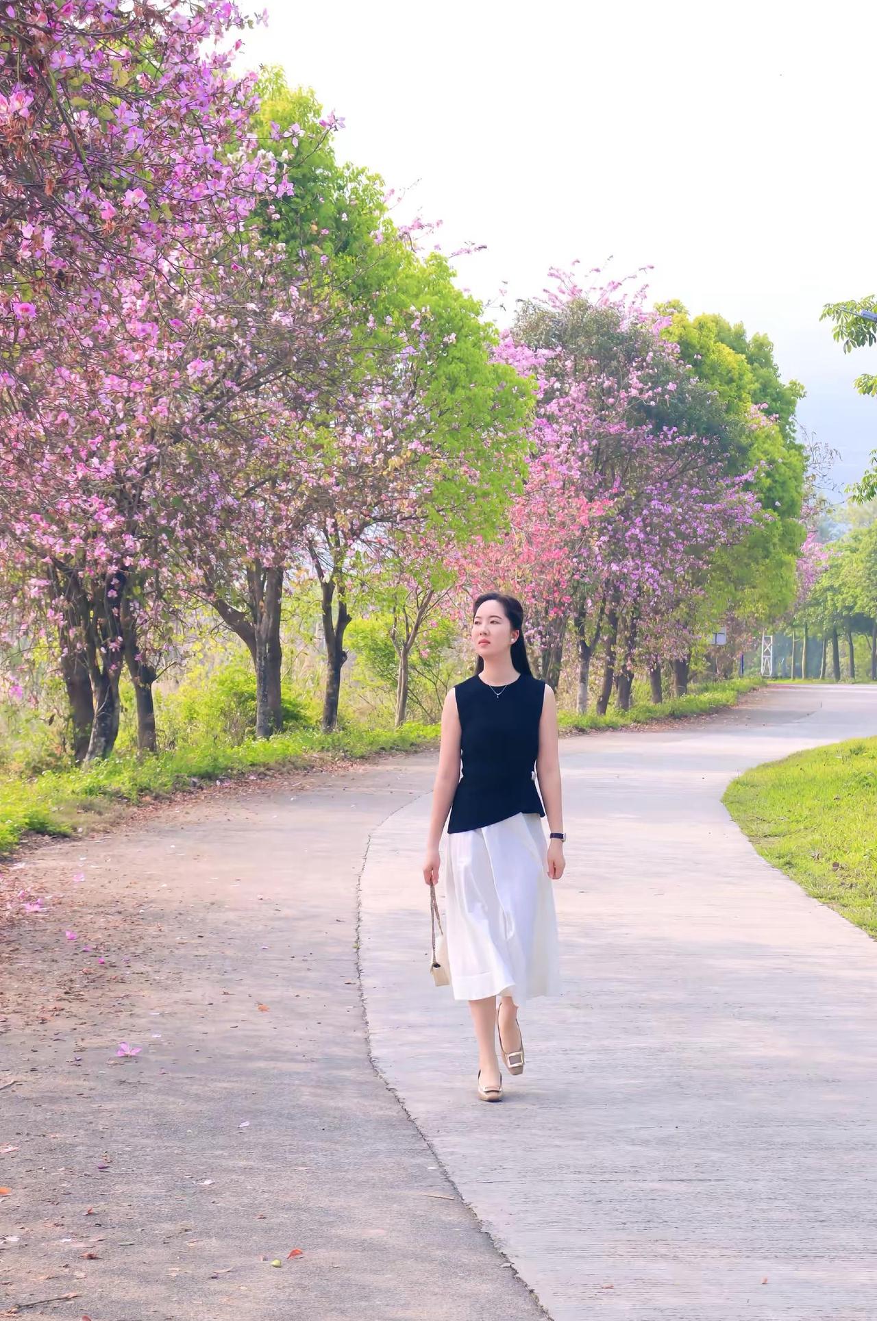 若爱💕有颜色，定是紫荆的温柔--不喧哗，却长情🌤偶遇美景