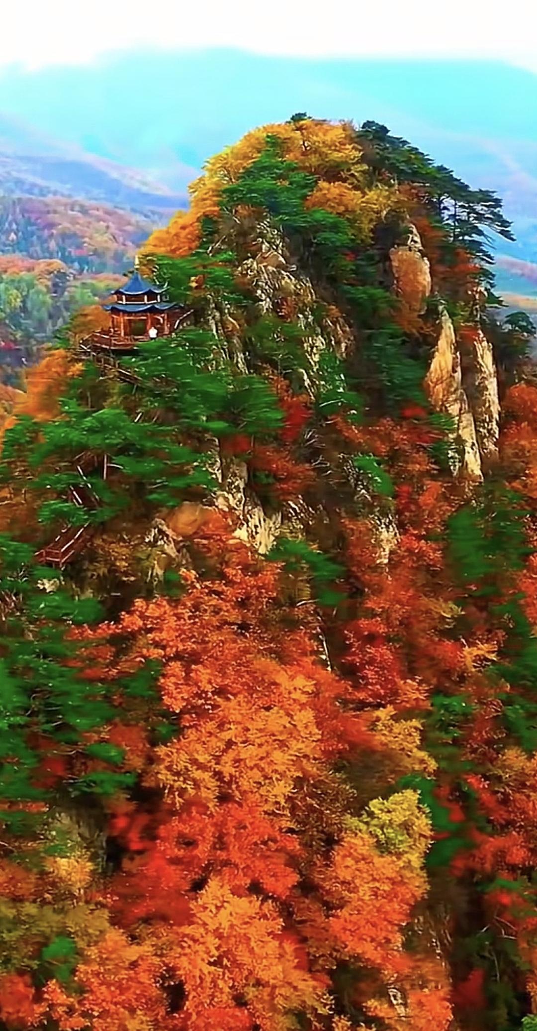 秋天的蓝天，漫山的红叶🍂，一切都是那么美风景秋日红叶林