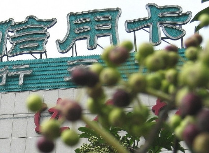 《凌晨三点的网贷炼狱：一个父亲被利息啃噬的500天》