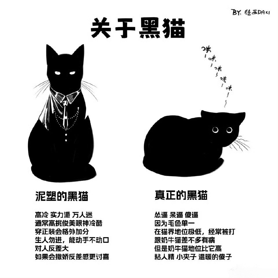 我一直以为黑猫就是第一个那样的啊[笑着哭]