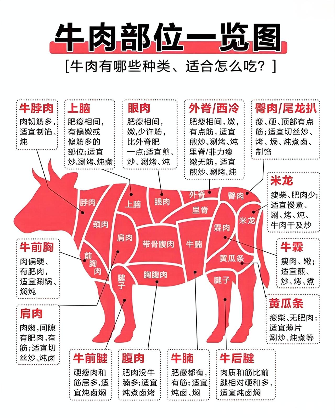 牛肉部位不同，肉质、口感差异显著，适配的烹饪方式也各不相同。里脊（牛柳）是牛