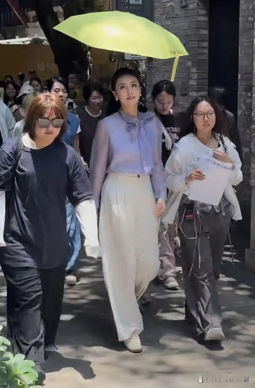 比董卿和张蕾漂亮的一个女主持人出现了，她穿着一件浅紫的长衫，给人一种干净，健康的