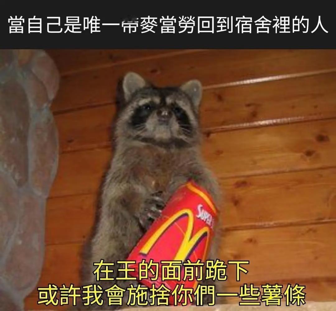 一些小动物memememesmeme梗图梗图不考虑物种