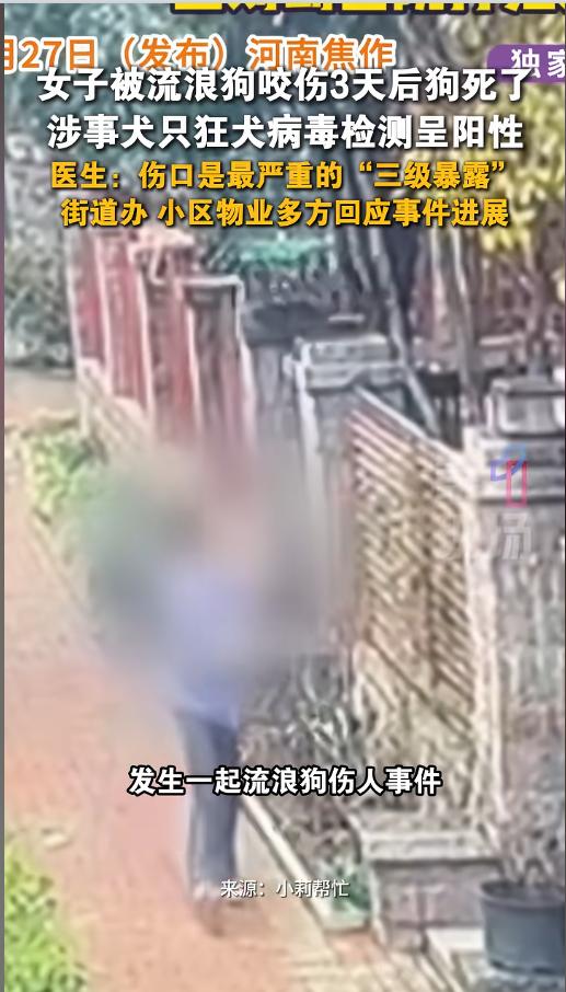 “细思极恐！”近日，河南焦作，一女子在家中，被尾随而来的一只流浪犬咬伤了腿，造成