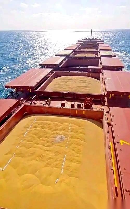 200万吨大豆，就那么堆在巴西港口，一天天烂掉。魔幻不？巴西人大概以为拿捏住