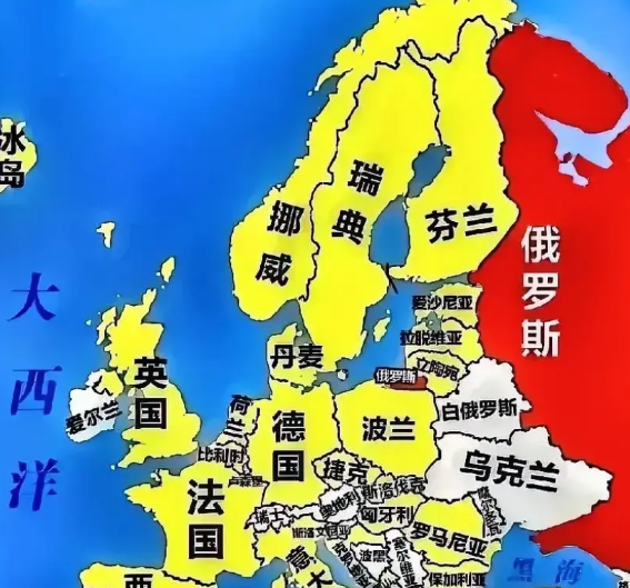 瑞典突然甩出王炸——6到8架“鹰狮”战斗机带着110号人直扑波兰，说是要保护给乌