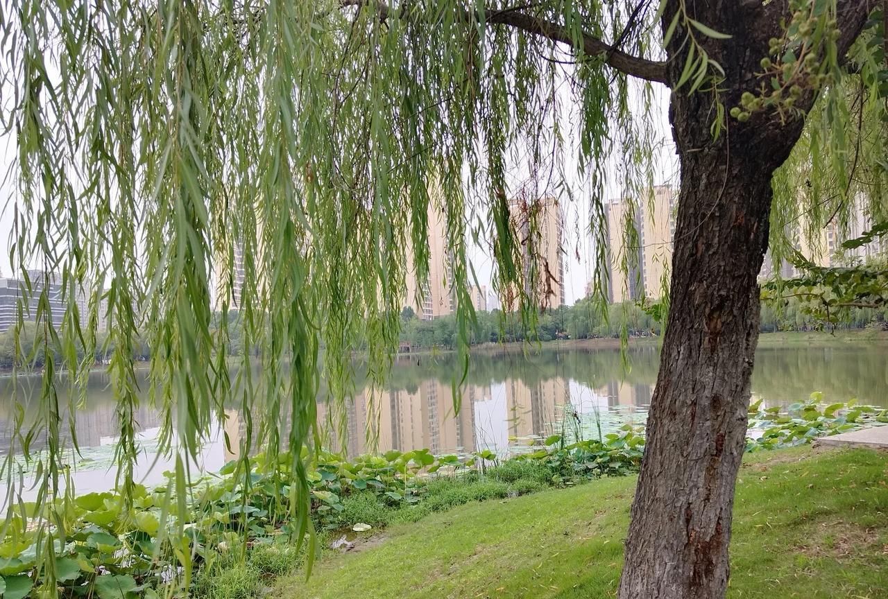 普通家庭的孩子，尽量不读贵族学校，因为贵族学校的孩子，多数都是高消费，他们经常旅
