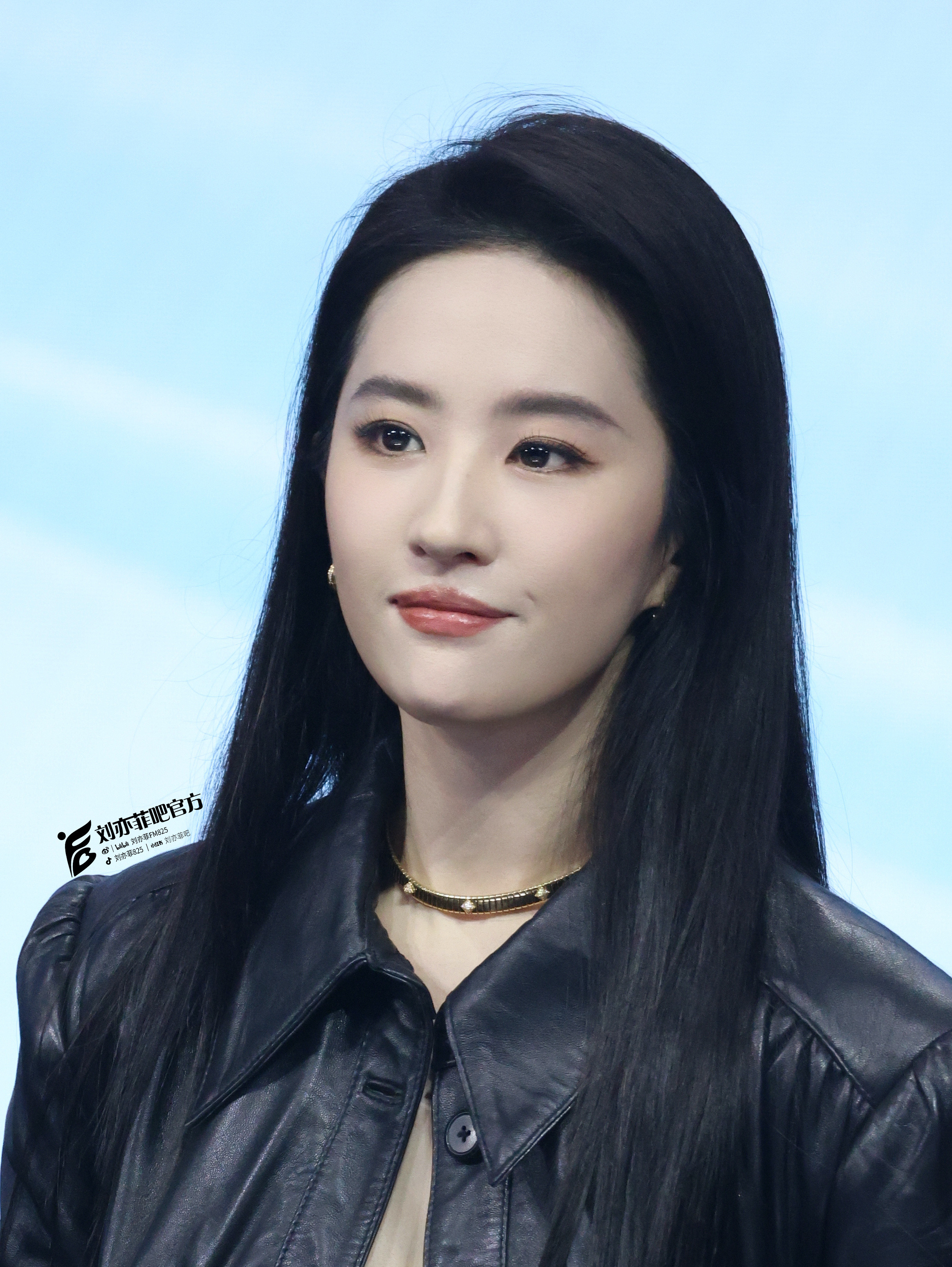 刘亦菲眉眼含情，轮廓精致，自带古典与现代交融的气质，美得极具辨识度。