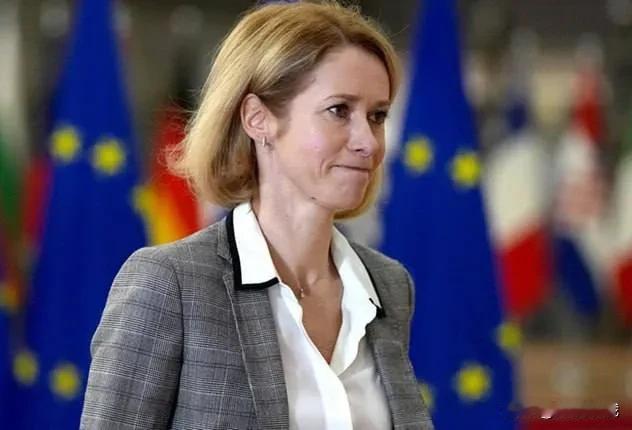 欧盟：美国制裁欧洲国家，让中国、俄罗斯心中暗喜欧盟委员会主席冯德莱恩、副主席