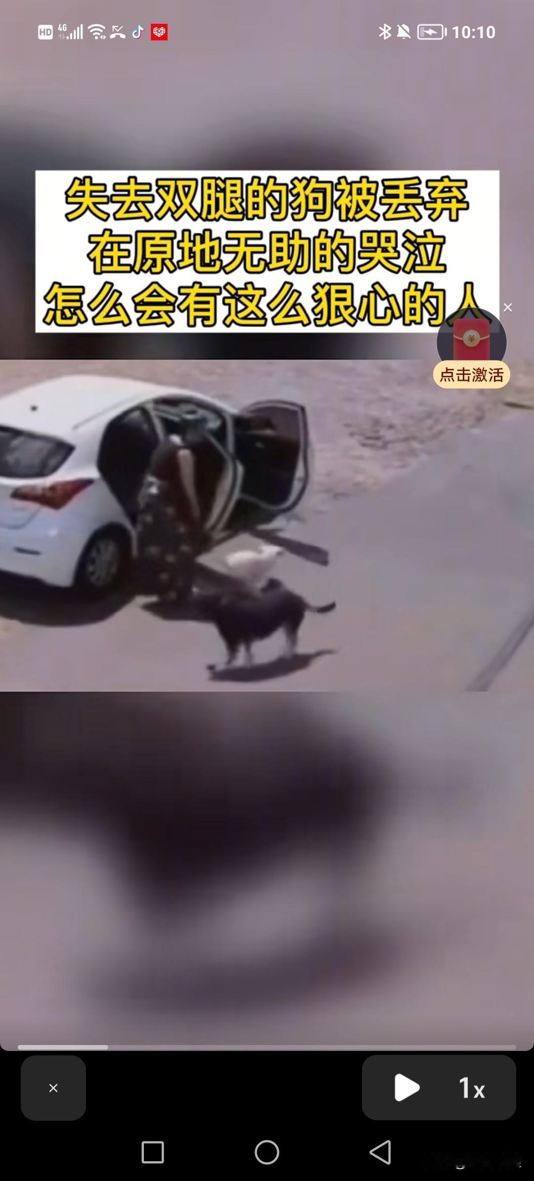 狠心的女主人开车来到边远地区，把一只残疾白狗强拉下车，指着它说道：“你就在这儿自