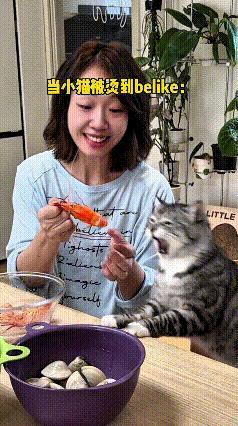 看完这个视频真是又好笑又心疼，这只小猫可算是实实在在吃了一回苦头。主人刚从锅里捞