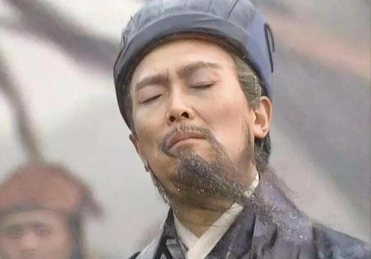 今日话题：如果没有那场大雨诸葛亮北伐能成功吗？？？网友甲：北伐成功基本上是毫