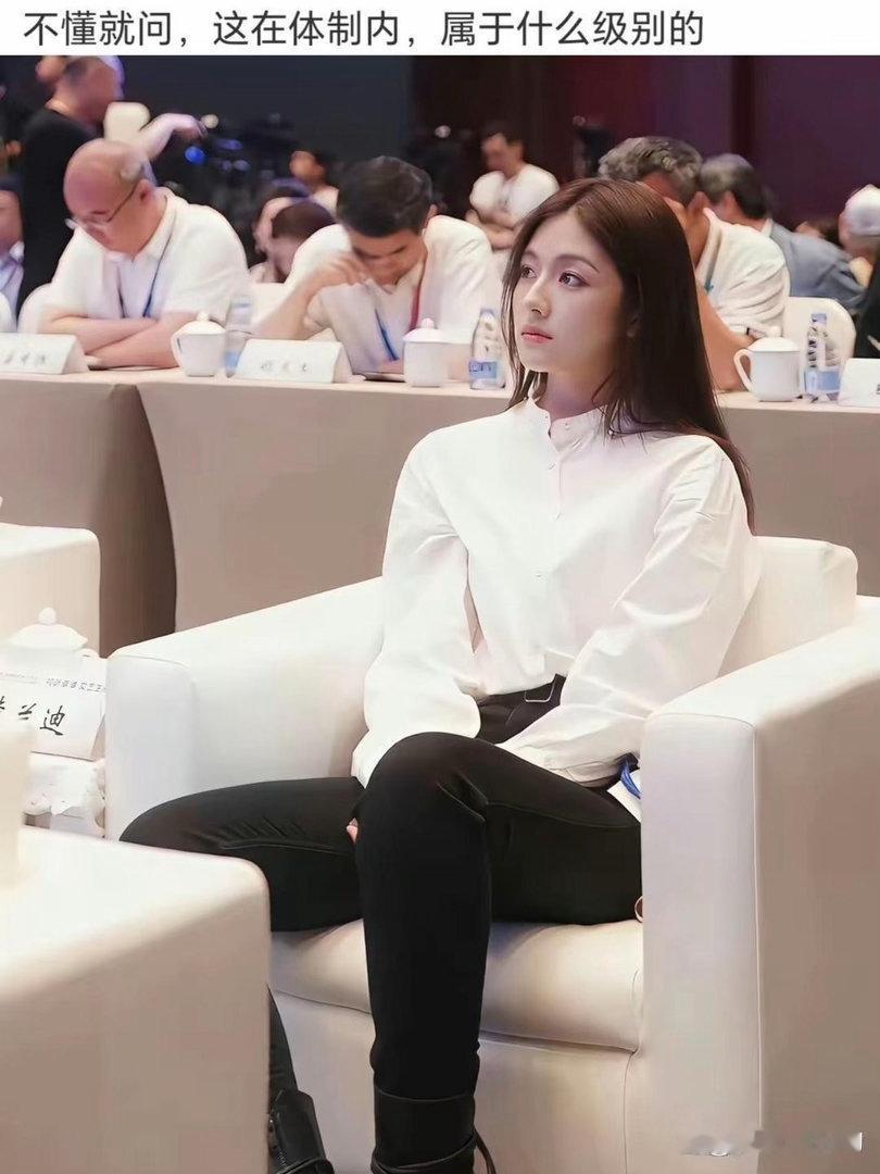 不懂就问，这在体制内，属于什么级别的美是真的美，给人一种干净清透的视觉​​​