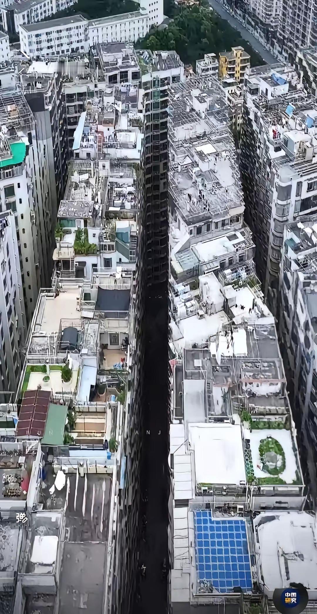 寸土寸金的深圳“水泥森林”密得让人窒息，经济高速发展时期甚至一下子聚集了数百万打