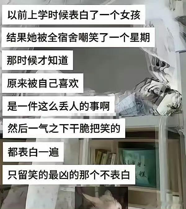 其实无人在意bro廉价的表白