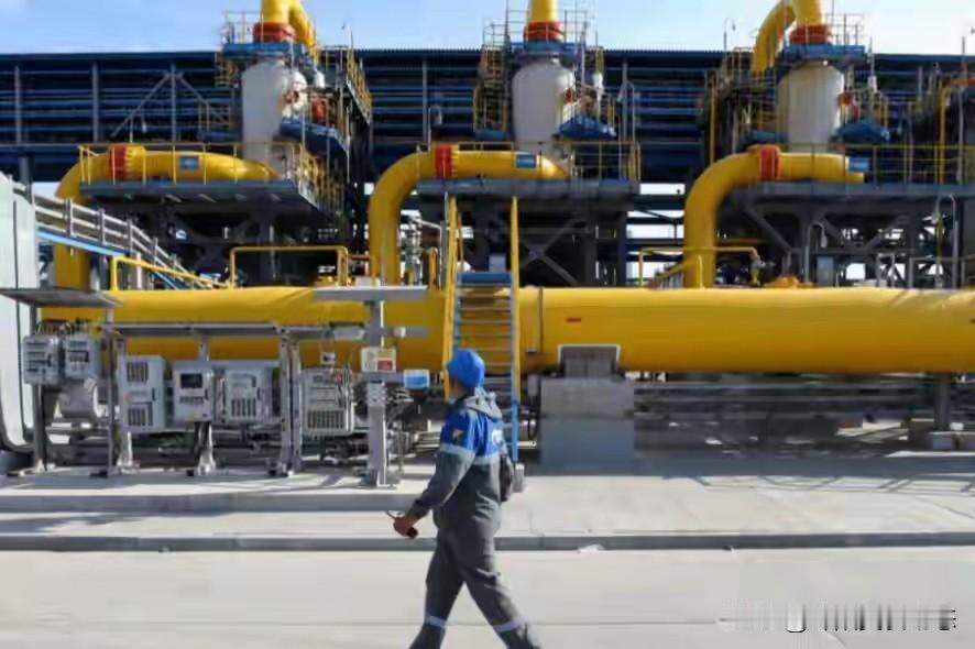 德国声称：中国制造让人上瘾，中国制造成本低，这优势太明显了。就拿电子产品来说