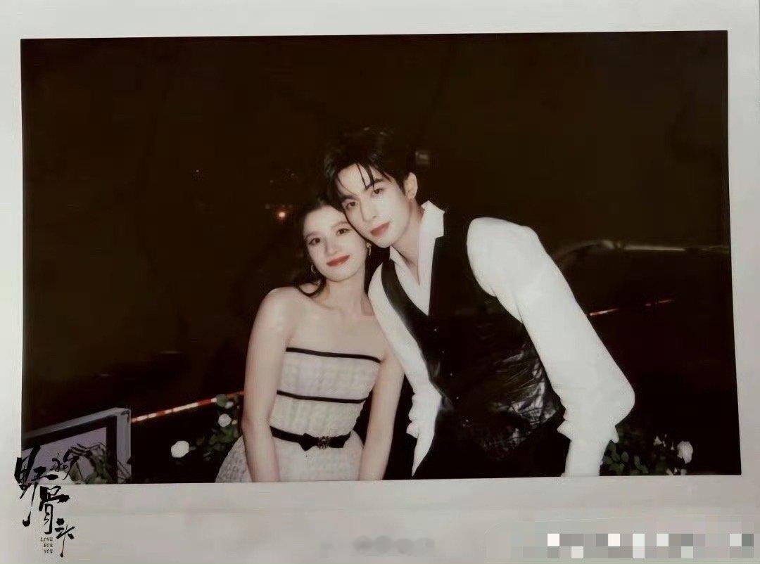 野狗骨头火力野狗骨头这火力很牛啊！