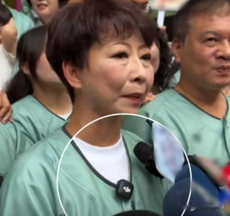 民进党台南市长候选人陈亭妃穿的是绿衣服当然没有戴绿帽子这基本符合民进党尿性