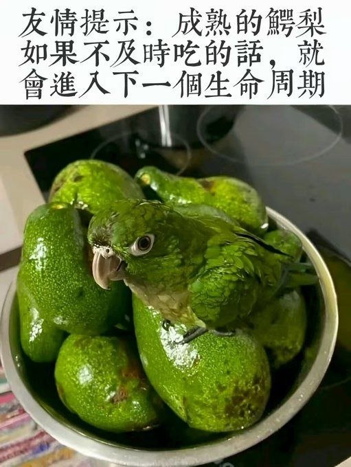 孵出来了