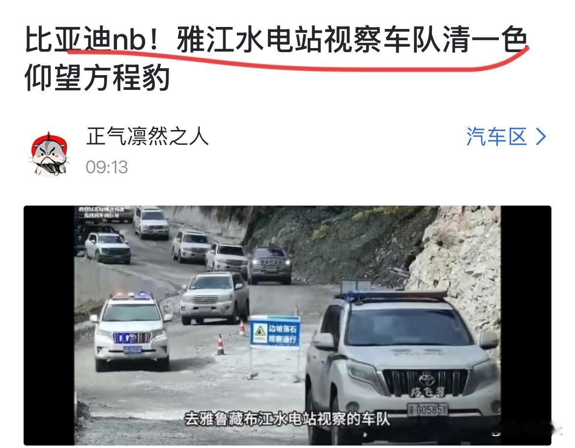 网友：“比亚迪牛批，雅江水电站视察车队清一色仰望方程豹！”就这位网友的言论，小