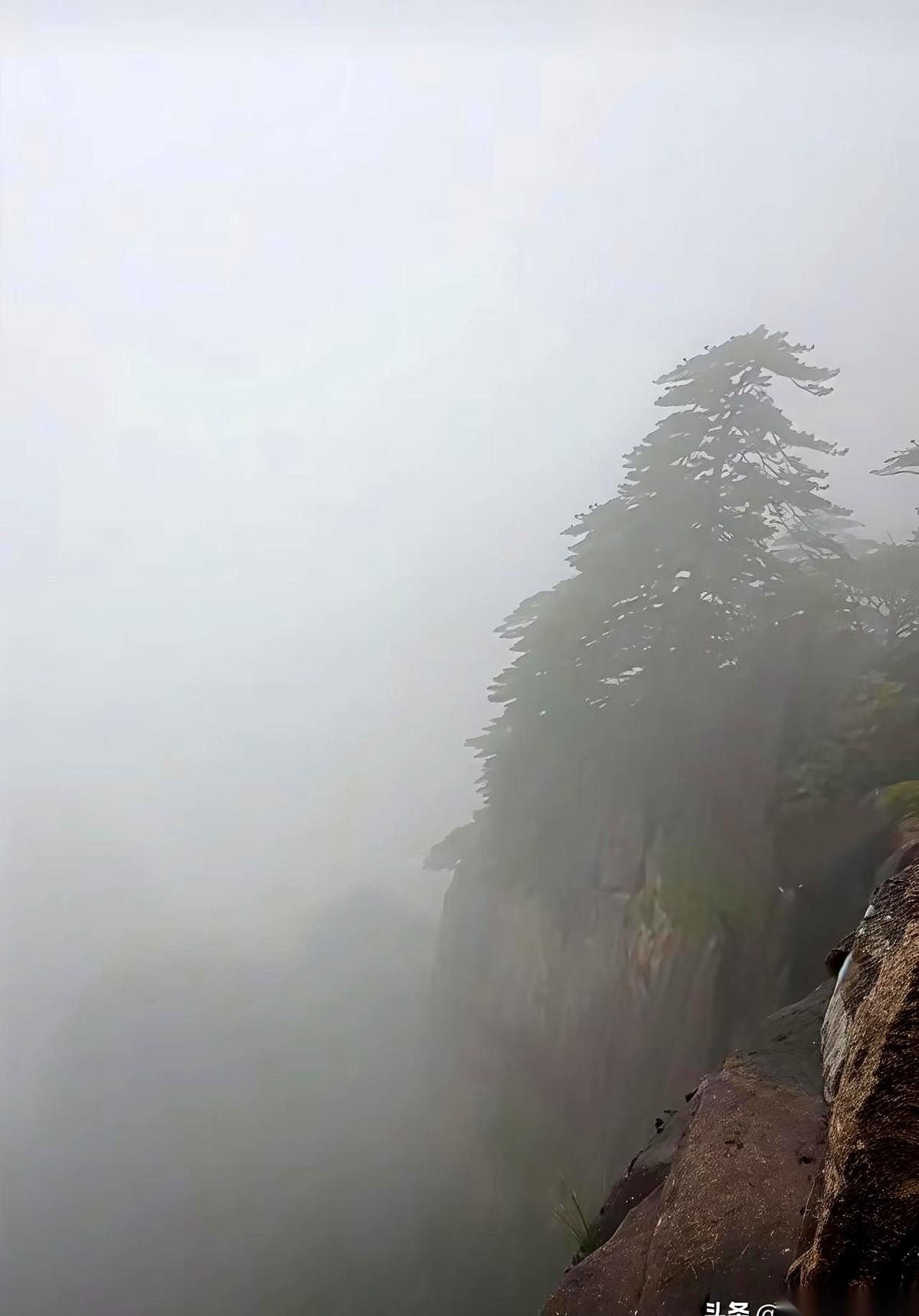 我捏着票，站在黄山脚下，心里算了一笔账：门票190，上山索道90，下山索道80，