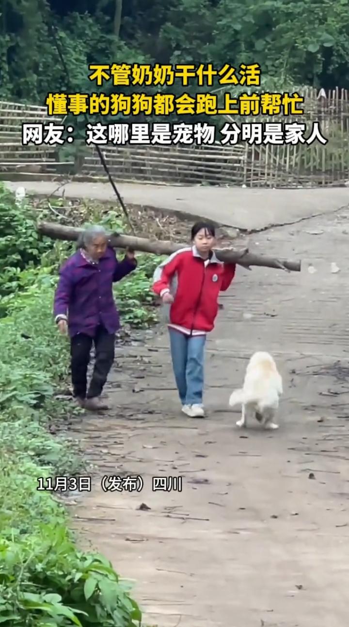 近日四川成都，一70岁奶奶在村里干农活，遇到一个奇怪的事情，无论奶奶干什么活，她