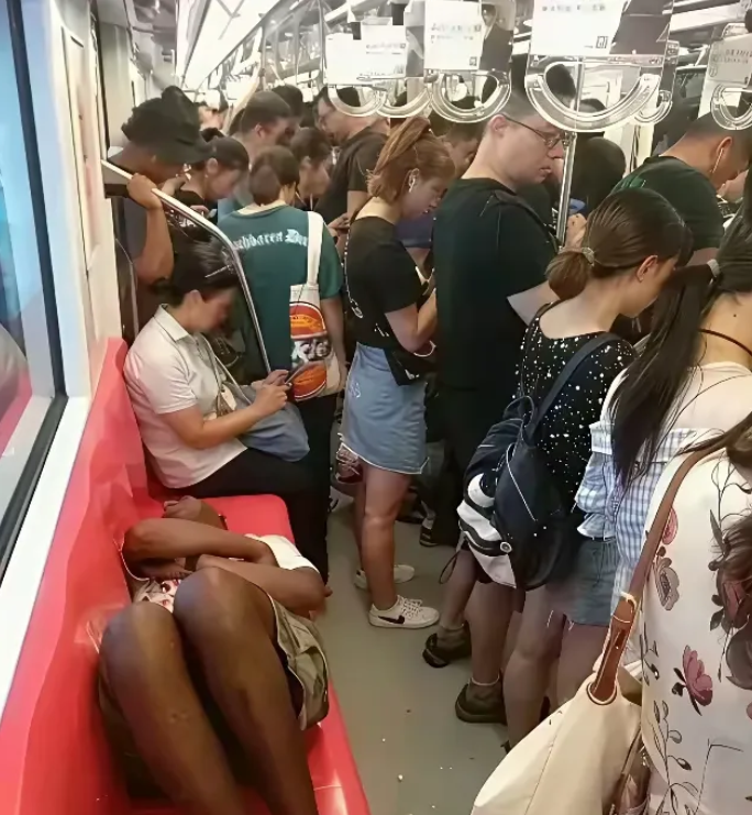 怕狗咬人，更怕养狗的人咬人！