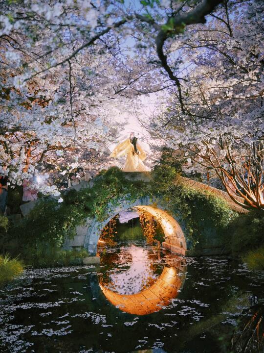 杭州这条春日路线绝了！自驾闯入春天🌸
