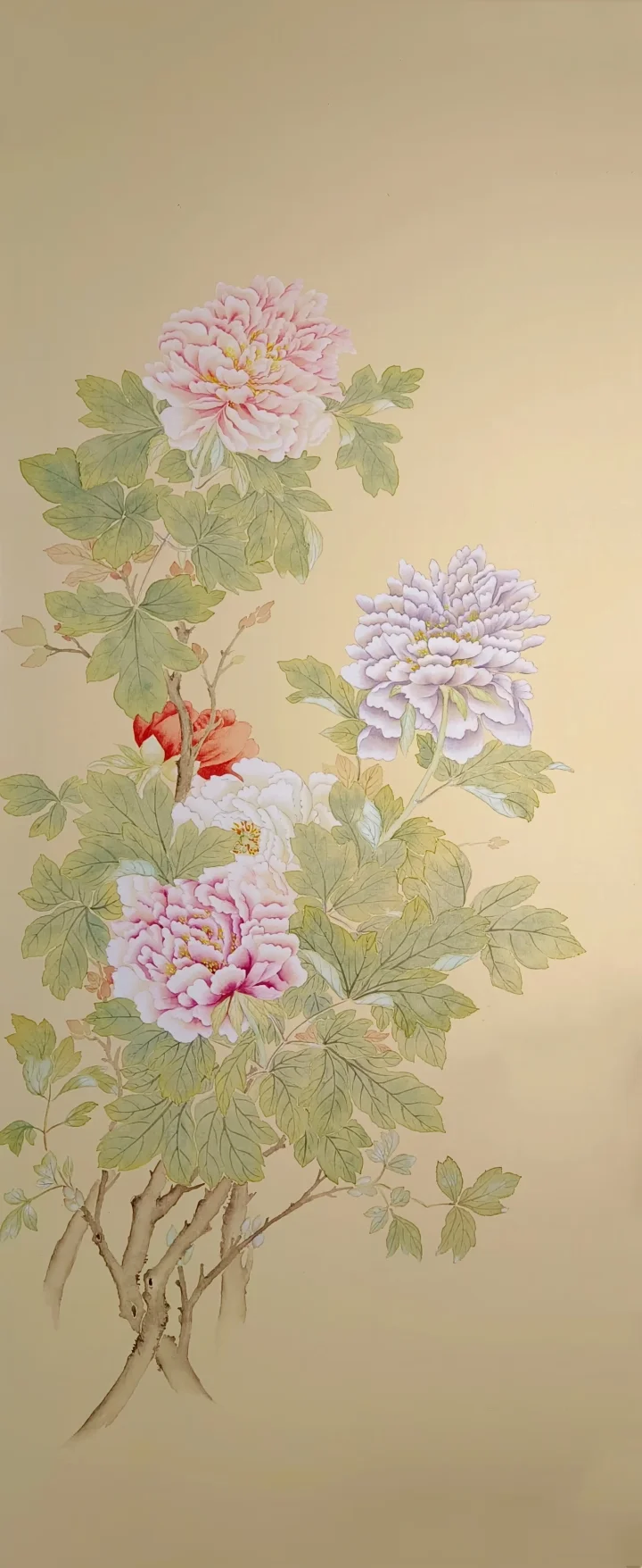 牡丹，国画